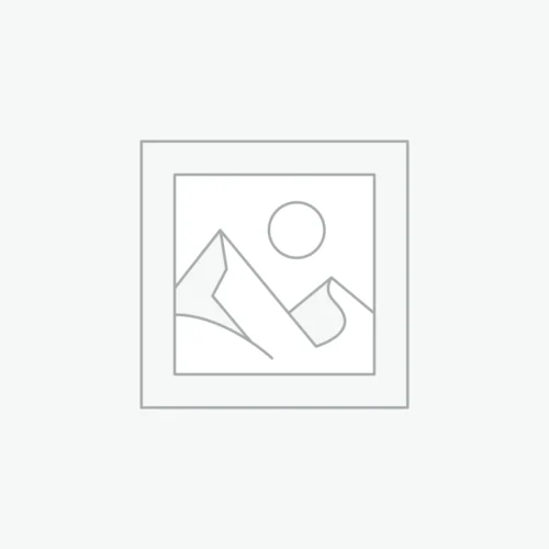 Test SEO